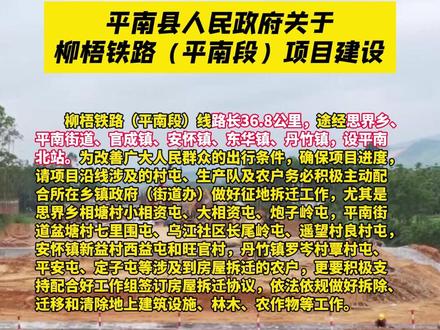 广西平南市最新动态更新