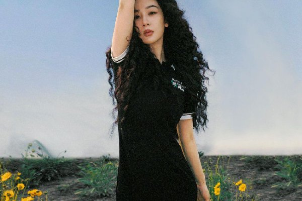 最新美版巴克，独特魅力与革新的深度解析