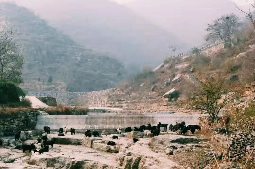 新乡，科技重塑生活，前沿高科技产品体验之旅