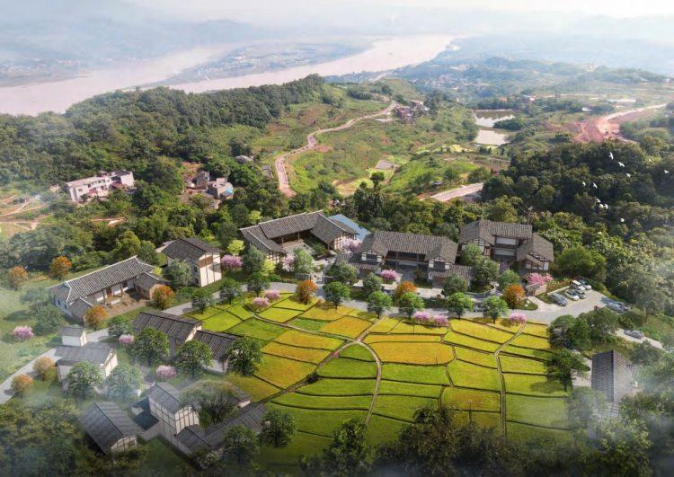 大渡口最新规划及其步骤指南