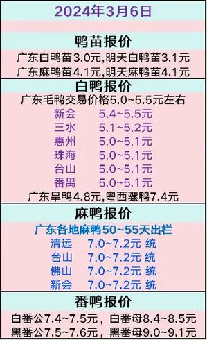 最新鸭子市场行情解析，全面掌握市场动态！
